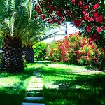 Ancient Meropia - Apollon 360 *