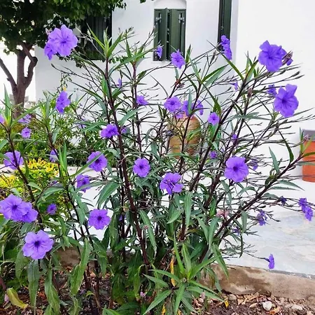 Ancient Meropia - Apollon 360 Apartment *