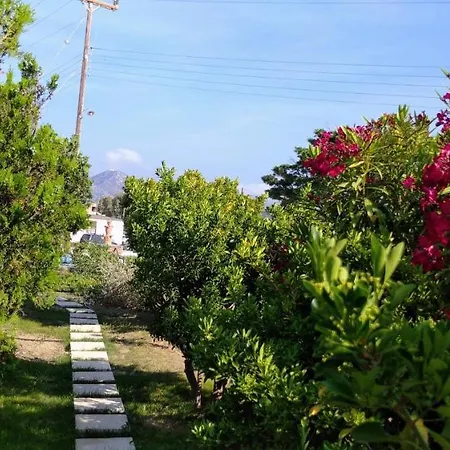 Ancient Meropia - Apollon 360 Apartment