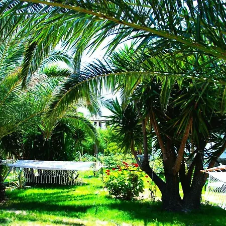 Ancient Meropia - Apollon 360 * Apollonia (Sifnos)