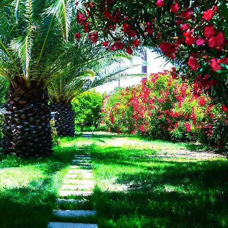 Ancient Meropia - Apollon 360 *