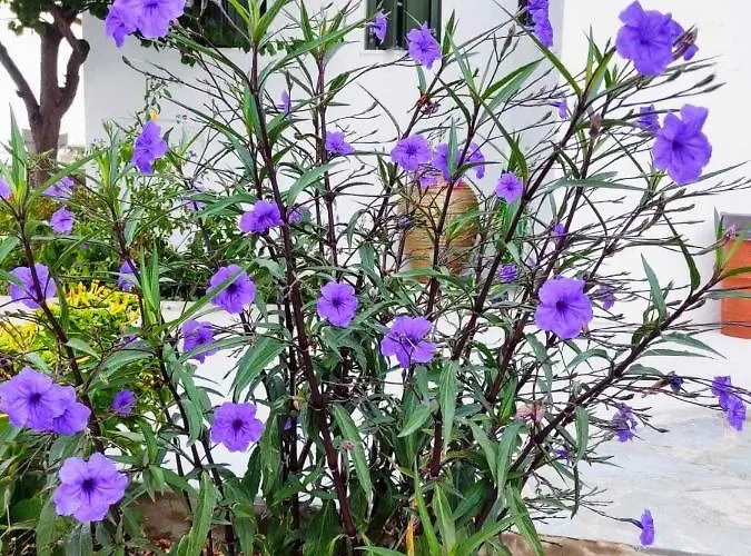 Ancient Meropia - Apollon 360 Apartmán *