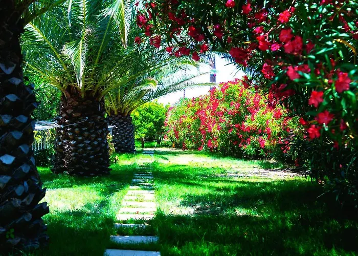 Ancient Meropia - Apollon 360 *