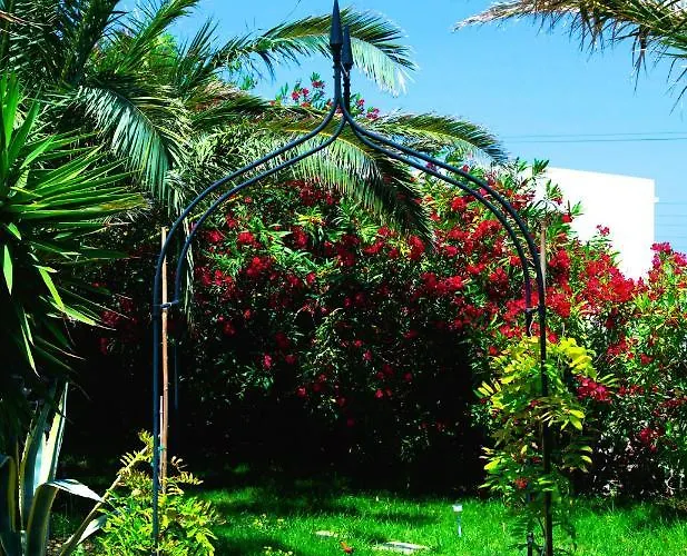 Ancient Meropia - Apollon 360 Apollonia